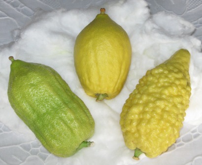 Citron varieties