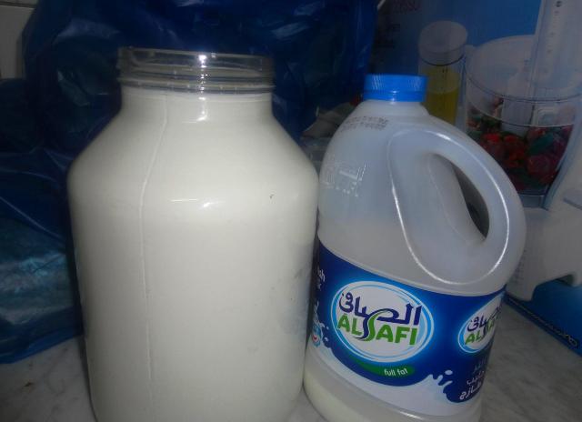 Boil fresh milk, wait till it cools down & add to the jar